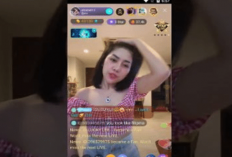 Download Apk Dino Live Bar Bar All Room Unlocked Update 2024, Bisa Join di Semua Room Tanpa Bayar!