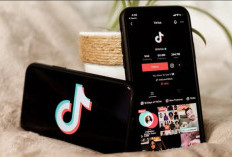 Ingin Buat Konten Viral? Gunakan Jadwal FYP TikTok Weekend 16-17 Desember 2023, Auto Banyak Penonton