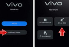 4 Cara Mengatasi HP Vivo S1 Pro Stuck di Logo dengan Mudah Tak Perlu ke Konter! Langsung Beres Kembali Sepertia Semula