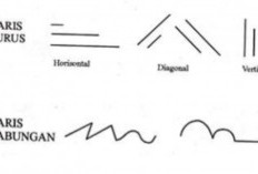 Konsep Utama Garis dalam Seni Rupa, Miliki Peran yang Beraneka Ragam