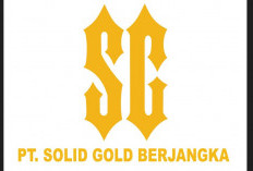 PT Solid Gold Jakarta Penipuan? Para Job Seeker Harus Lebih Teliti Lagi dan Tidak Gampang Silau