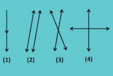 Materi Garis Berimpit Mata Pelajaran Matematika, Disertai Contoh Soalnya