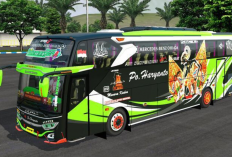 Download Bus Simulator Indonesia (BussID) MOD APK Versi Terbaru 2024 [Unlocked Premium], Gratis Bus dan Truk Full Livery Paling Necis