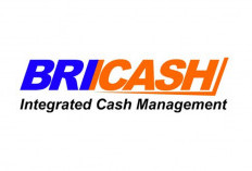 Mengenal BRI Cash Management System Berikut Pengertian, Fungsi, dan Kegunaannya 