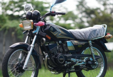 Warna Kabel RX King dan Fungsinya, Ini Dia Penjelasan Lengkapnya!