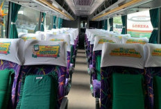 Cara Menemukan Agen Bus Lorena Terdekat dengan Lokasi Anda, Awas Calo! Pastikan Cari Agen Terpercaya!