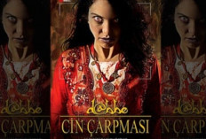 Sinopsis Film Horor Dabbe: Cin Çarpmasi (2013), Dirasuki Setan Menjelang Pernikahannya!