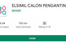 Tugas Utama dari Admin Elsimil, Apa Saja? Penting Diketahui Sebelum Melamar!