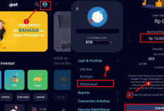 Tips dan Trik Dapatkan Dividen IPOT dengan Mudah, Rahasia Para Investor Sukses!
