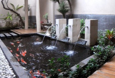 Keunggulan dan Kekurangan Filter Kolam Ikan Mudah Tanpa Listrik, Jauh Lebih Murah Walaupun Ribet Sedikit