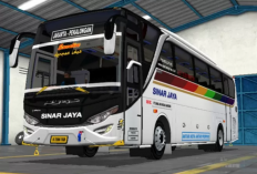 Download Livery BussID Sinar Jaya Format PNG, Jernih, dan Terbaru 2023, Bikin Body Makin Ciamik dan Main Tambah Asyik