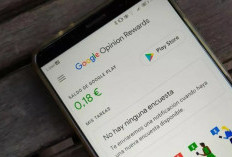 Apakah Google Opinion Rewards Penipuan Atau Terbukti Benar-benar Membayar, Begini Faktanya yang Mengejutkan