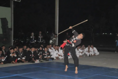 Nama-Nama Jurus IKSPI Kera Sakti dan Gambar Gerakannya Untuk Latihan, Berlatih Jadi Pasket Sejati