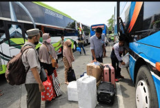 Mudik Gratis Dephub/Kemenhub 2024 Kembali ke Kampung Halaman Tanpa Biaya! Cek Link Daftar Disini