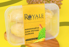 Lokasi & Harga Menu Royale Durian Surabaya Terbaru 2023, Pusatnya Durian Terbesar di Surabaya