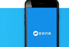 Aplikasi DANA Gangguan Sampai Kapan? Catat Ini Cara Mengatasi dan Penyebab APK Ini Error 