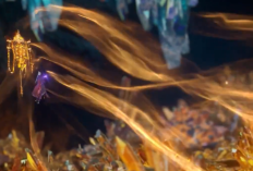 Link Nonton Donghua Renegade Immortal Episode 89 Subtitle Indonesia, Pengambilan Roh Utama Kirin