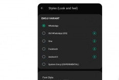  Download WA Aero V10.25 April 2024 Tanpa Kadaluarsa, Begini Cara Installnya di Android 