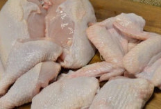 Berapa KG Daging Ayam Untuk 100 Porsi? Tiap Bagian Paha Dada Atau Sayap Lengkap!