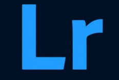 Free Download Lightroom Mod APK Versi Terbaru 2024, Full Preset Premium Gratis!