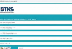 Cek Data DTKS Kemensos Bulan Januari 2024  Buat Penerima Bansos Periksa Nama Kamu Apakah Sudah Terdaftar 