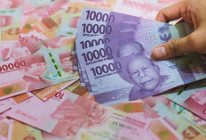 Cair Rp 400 Ribu! Link Bantuan BLT EL Nino Cek Daftar Penerima Bulan Desember 2023, Mudah Bisa dari HP