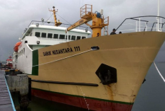 Jadwal Kapal Pelni Sabuk Nusantara Maret 2023 Lengkap Dengan Rute Pelabuhan Transitnya 
