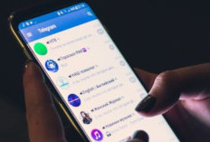 Link Kumpulan Video Viral SMP Telegram, Masuk Channelnya Di Sini Gratis Sebelum Penuh