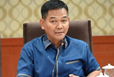 Profil Sosok Haerul Amri (Gus Aam) Anggota DPR RI Humanis dan Rendah Hati: Riwayat Pendidikan hingga Perjalanan Karir
