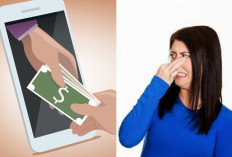 5 Tips Bobol Pinjol dengan Data Busuk Langsung Cair Limit 10 Juta, Pasukan Gagal Bayar Merapat!