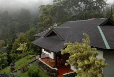 10 Rekomendasi Penginapan Short Time di Puncak Bogor yang Dapat Rating Terbaik di Situs Beli Tiket Hotel Online