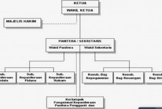 Cara Membuat Bagan Organisasi, Lengkap Dengan Contoh Gambar Bagan dan Struktur Organisasi