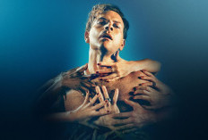 Synopsis de Série Supersex (2024) Diffusée sur Netflix, L'histoire d'un homme qui ne pouvait pas dire l'amour