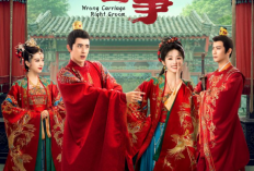 Nonton Drama China Wrong Carriage, Right Groom (2023) Episode 1 2 3 4 SUB INDO : Apa Jadinya Jika Punya Pasangan yang Tertukar?