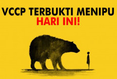 Aplikasi Penghasil Uang VVCP Ternyata Penipuan! Wasapada Jadi Target Selanjutnya, Simak Fakta Lengkapnya Disini