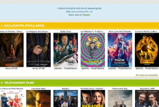 Nouvelle Adresse Wawacity en Juin 2025, Liens Gratuits de Film à Drame en Streaming