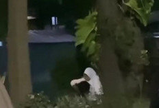 Link Video Mesum di Taman Sekartaji Kediri Viral, Full Durasi Tersebar di Twitter dan TikTok!