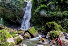 Air Terjun Kedung Kayang, Objek Wisata Alam Asri dengan Pemandangan Unik di Jawa Tengah