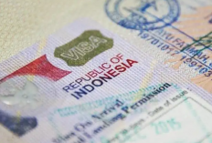 Apa itu Nomor Dokumen Perjalanan? Yang Mau Liburan Akhir Tahun 2023 Boleh Simak Dulu Nih