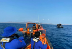 Dive Master Veronica Beatrix Jessica Hilang dalam Insiden KM Feronia Tenggelam di Labuan Bajo