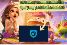 Download VPN Higgs Domino Apk Terbaru 2024, Main Aman Dijamin Mudah Gacor!
