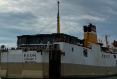 Jadwal Kapal Laut KM Egon Mei 2023 Rute Bontang – Waingapu PP, Lengkap dengan Harga Tiketnya