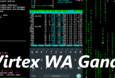 Download Virtex WA Ganas Terlengkap dan Terbaru 2023, Mulai Lag Ringan Hingga Mematikan