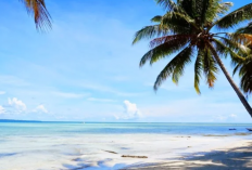Nama-Nama Pantai dan Laut di Pulau Kalimantan Antara Lain?