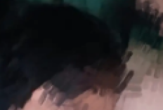 Download Link Video Gumas Full HD No Sensor, Pelajar Asik Esek-esek di Kosan Mendadak Viral