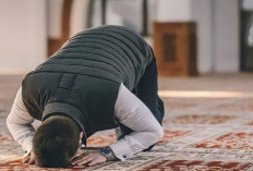 Alasan Melakukan Sujud Sahwi, Keliru Membaca Bacaan Sholat hingga Ragu dengan Jumlah Rokaat