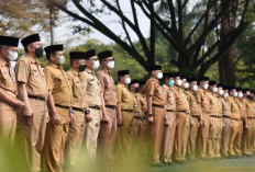 4 Kementrian Ini Butuhkan CPNS 2023 Lulusan SMA dan SMK, Daftarkan Dirimu Sekarang Juga 