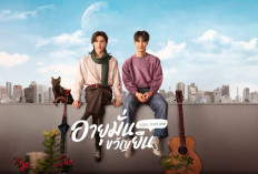 Synopsis du Drama BL Thaïlande 1000 Years Old (2024) Le Vampire à la Recherche du Grand Amour