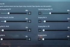 Daftar Sensitivitas PUBG No Gyro Terbaik dan Terbaru 2024, Bisa Untuk Pemula dan Mudah Settingnya!