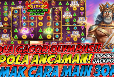 Inilah Keuntungan Menggunakan Bocoran Pola Gacor Gates of Olympus, Bukan Hanya Sekedar Jackpot